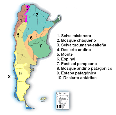 BIOMAS DE ARGENTINA bioma flora fauna bosque llanura argentina biología ecosistema desierto selva patagonia