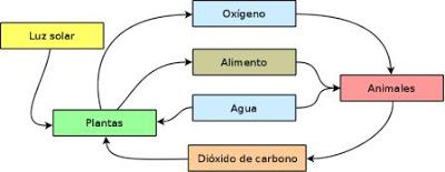 ECOSISTEMAS