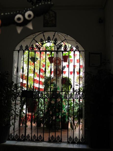 Blanca y verde Córdoba Blanca y verde Córdoba