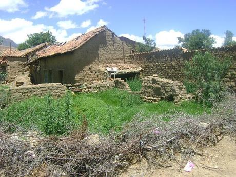 SISTEMA DE PRODUCCION AGROPECUARIA MINIFUNDARIA