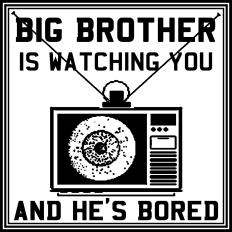 the big brother is watching you and he is bored