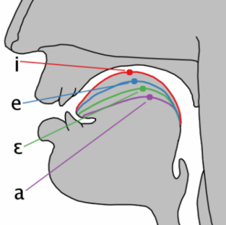 VOCALES