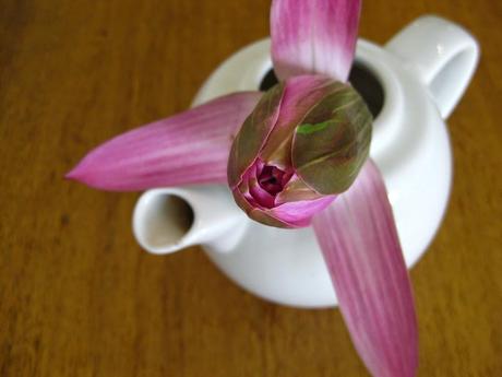 El Cuento de la Tetera El Cuento de la Tetera