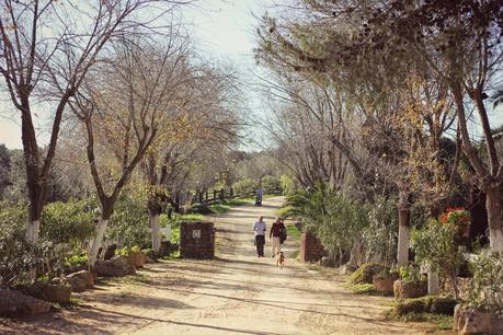 Dehesa La Calera