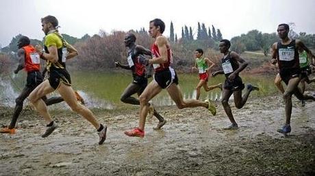 El Tiempo en el Cross de Itálica 2015