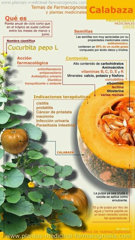 Propiedades de la Calabaza #Infografía #Salud #Alimentación