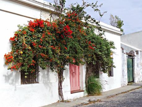 Colonia del Sacramento, piedra y color