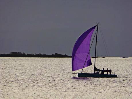 Colonia del Sacramento, piedra y color