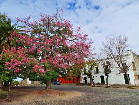 Colonia del Sacramento, piedra y color