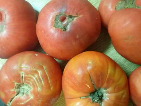 Conserva de tomate casera Conserva de tomate casera