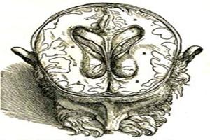 Detalle de Dibujo de un texto de Vesalio (De humani corporis fabrice)