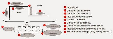 Entrenamiento Interválico Aeróbico de Alta Intensidad (HIT)