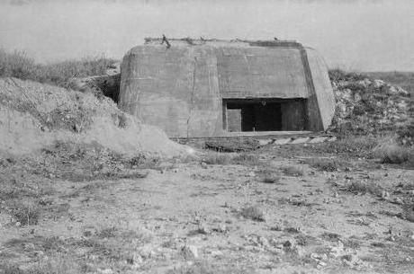 Restaurados 31 rollos de fotografías de la Segunda Guerra Mundial Restaurados 31 rollos de fotografías de la Segunda Guerra Mundial