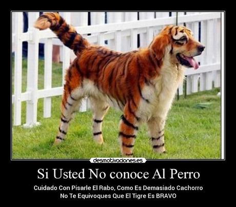 petigre