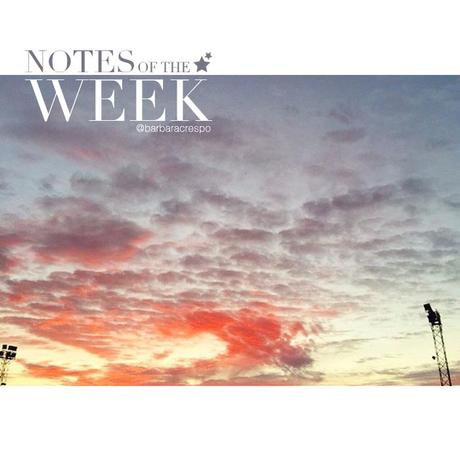 notes of the week barbara crespo tumblr social media instagram youtube instavideo facebook twitter notes of the week barbara crespo tumblr social media instagram youtube instavideo facebook twitter