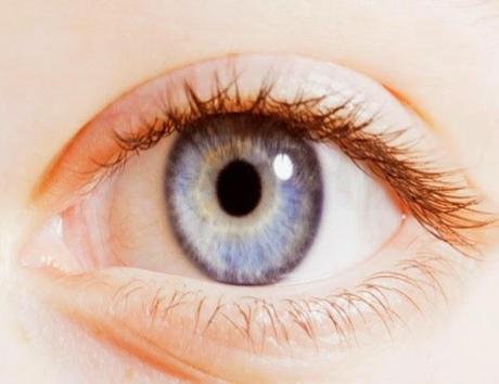 Consiguen devolver la visión utilizando células madre Consiguen devolver la visión utilizando células madre