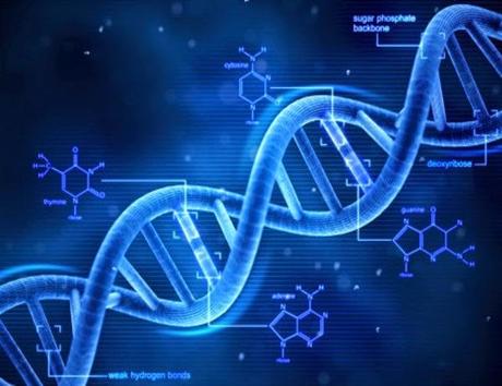 Descubren gen mutado que provoca muerte súbita hereditaria Descubren gen mutado que provoca muerte súbita hereditaria
