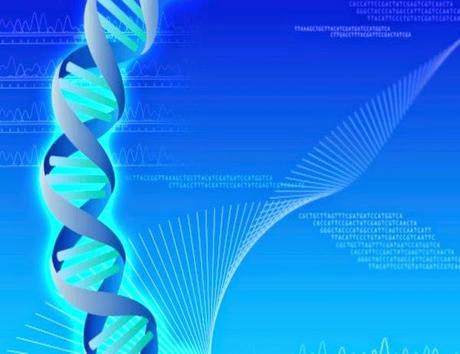 Nuevo método detecta cambios genéticos responsables del cáncer en pocas horas Nuevo método detecta cambios genéticos responsables del cáncer en pocas horas