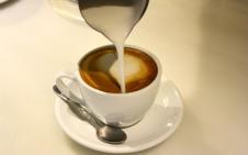 Monkee Koffee: un café único en Chamberí