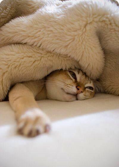 Grrrrr qué frio!!!! Grrrrr qué frio!!!!