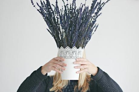 10 motivos por los que tener plantas en casa Plantas en casa 9