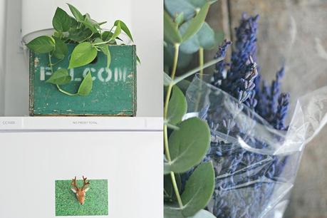 10 motivos por los que tener plantas en casa Plantas en casa