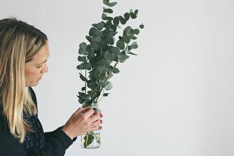 10 motivos por los que tener plantas en casa Plantas en casa 8