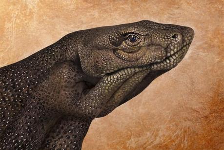 Guido Daniele, arte en las manos