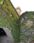De ruta por Navarra + la Rioja Alavesa (4 días) De ruta por Navarra + la Rioja Alavesa (4 días)