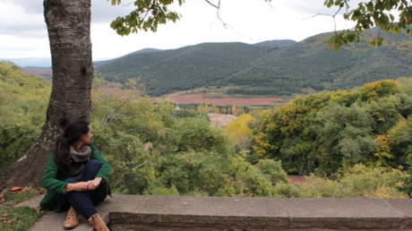 De ruta por Navarra + la Rioja Alavesa (4 días) De ruta por Navarra + la Rioja Alavesa (4 días)