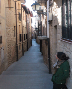 De ruta por Navarra + la Rioja Alavesa (4 días) De ruta por Navarra + la Rioja Alavesa (4 días)