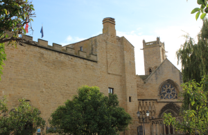 De ruta por Navarra + la Rioja Alavesa (4 días) olite7