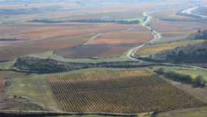 De ruta por Navarra + la Rioja Alavesa (4 días) De ruta por Navarra + la Rioja Alavesa (4 días)