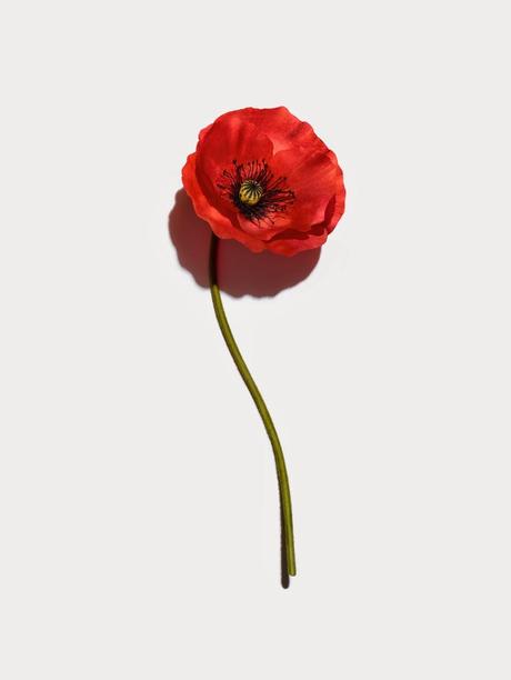 Masvelt de Clarins se renueva Masvelt de Clarins se renueva