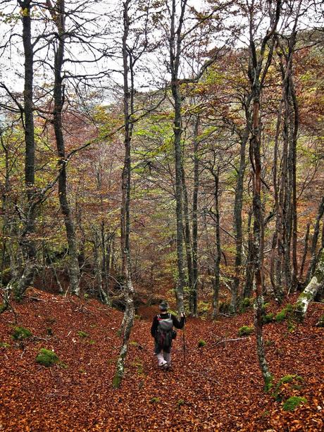 Camín de las Cabras y monte Redigobia (Somiedo mágico y profundo) Camín de las Cabras y monte Redigobia (Somiedo mágico y profundo)