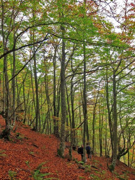 Camín de las Cabras y monte Redigobia (Somiedo mágico y profundo) Camín de las Cabras y monte Redigobia (Somiedo mágico y profundo)