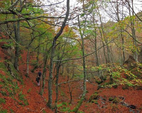 Camín de las Cabras y monte Redigobia (Somiedo mágico y profundo) Camín de las Cabras y monte Redigobia (Somiedo mágico y profundo)