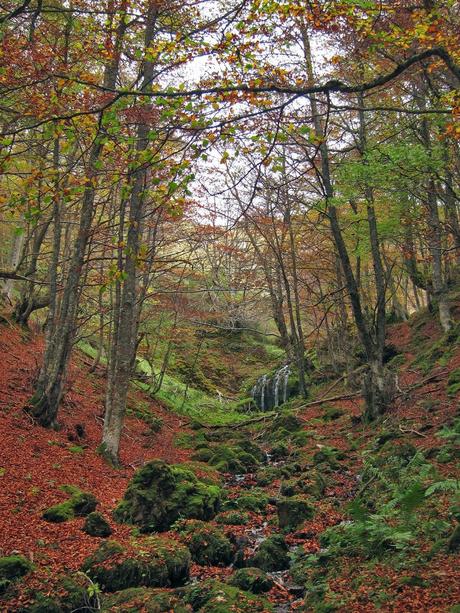 Camín de las Cabras y monte Redigobia (Somiedo mágico y profundo) Camín de las Cabras y monte Redigobia (Somiedo mágico y profundo)