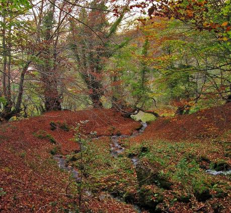 Camín de las Cabras y monte Redigobia (Somiedo mágico y profundo) Camín de las Cabras y monte Redigobia (Somiedo mágico y profundo)