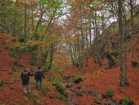 Camín de las Cabras y monte Redigobia (Somiedo mágico y profundo) Camín de las Cabras y monte Redigobia (Somiedo mágico y profundo)