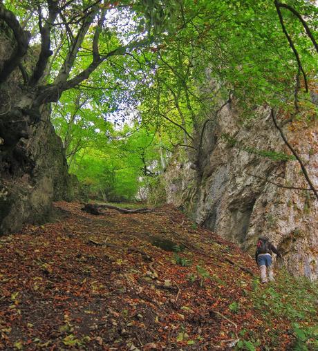 Camín de las Cabras y monte Redigobia (Somiedo mágico y profundo) Camín de las Cabras y monte Redigobia (Somiedo mágico y profundo)