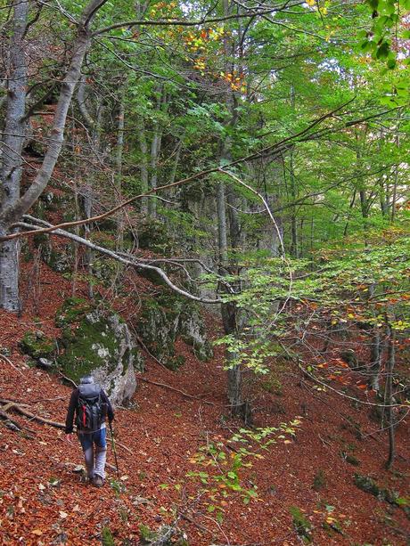 Camín de las Cabras y monte Redigobia (Somiedo mágico y profundo) Camín de las Cabras y monte Redigobia (Somiedo mágico y profundo)