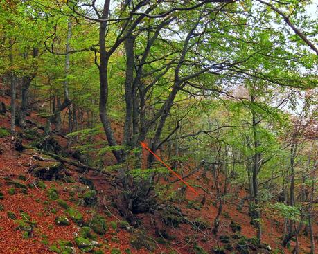 Camín de las Cabras y monte Redigobia (Somiedo mágico y profundo) Camín de las Cabras y monte Redigobia (Somiedo mágico y profundo)