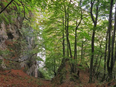 Camín de las Cabras y monte Redigobia (Somiedo mágico y profundo) Camín de las Cabras y monte Redigobia (Somiedo mágico y profundo)