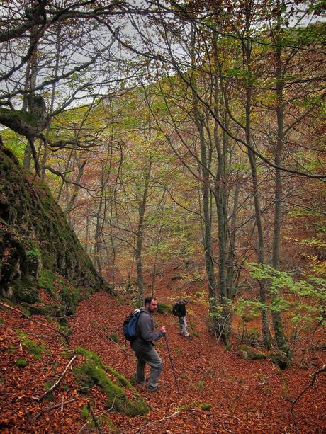 Camín de las Cabras y monte Redigobia (Somiedo mágico y profundo) Camín de las Cabras y monte Redigobia (Somiedo mágico y profundo)