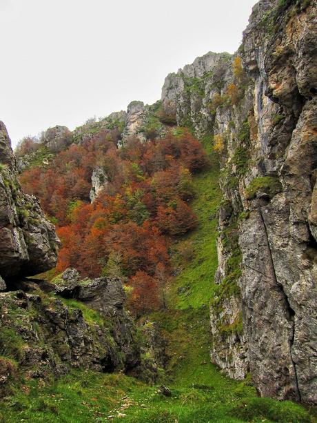 Camín de las Cabras y monte Redigobia (Somiedo mágico y profundo) Camín de las Cabras y monte Redigobia (Somiedo mágico y profundo)
