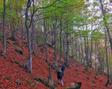 Camín de las Cabras y monte Redigobia (Somiedo mágico y profundo) Camín de las Cabras y monte Redigobia (Somiedo mágico y profundo)