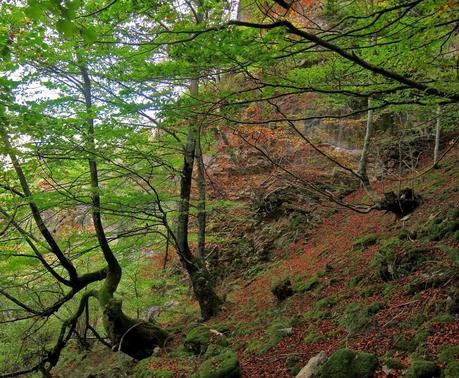 Camín de las Cabras y monte Redigobia (Somiedo mágico y profundo) Camín de las Cabras y monte Redigobia (Somiedo mágico y profundo)