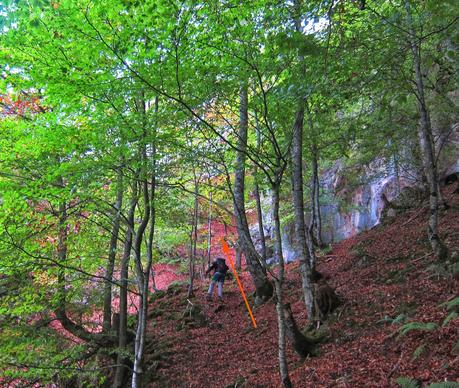 Camín de las Cabras y monte Redigobia (Somiedo mágico y profundo) Camín de las Cabras y monte Redigobia (Somiedo mágico y profundo)