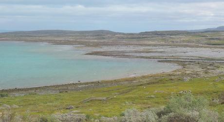 Vadso, un asombroso balcón al Ártico Extensas marismas que descubre la bajamar en el Ártico